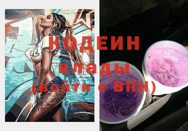 хмурый Корсаков